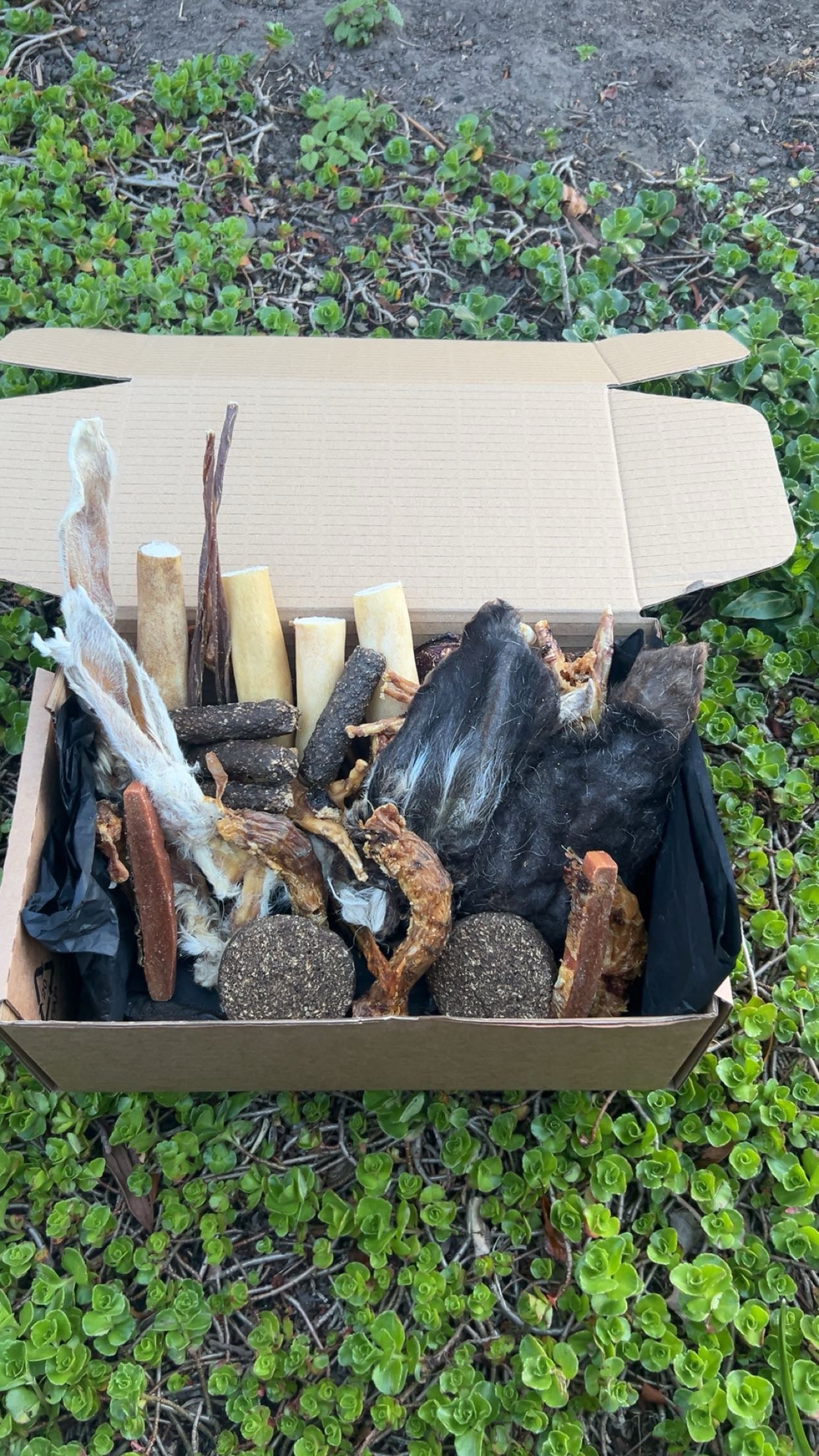 Double trouble treat box