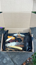 Large Treat box