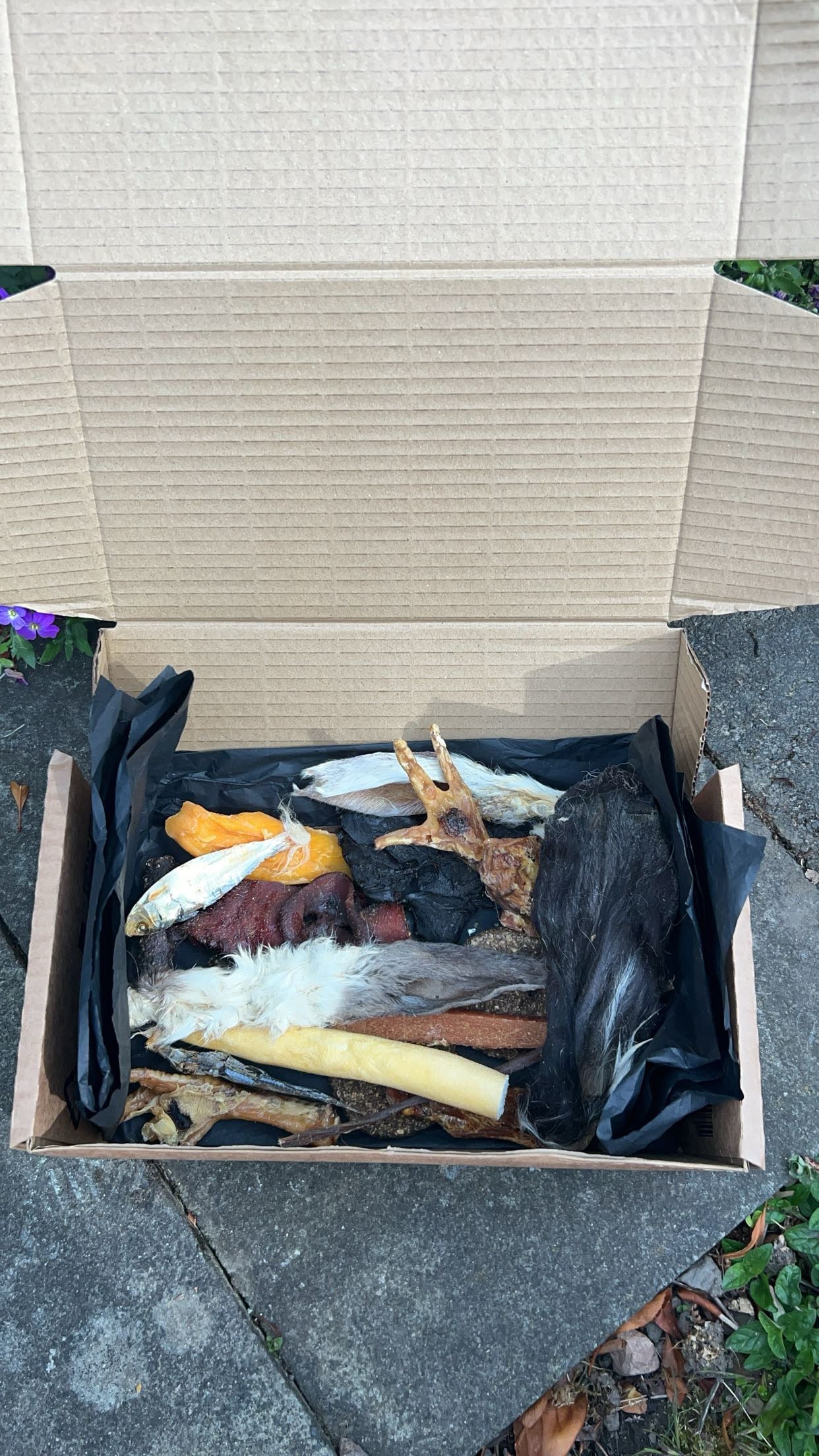 Large Treat box