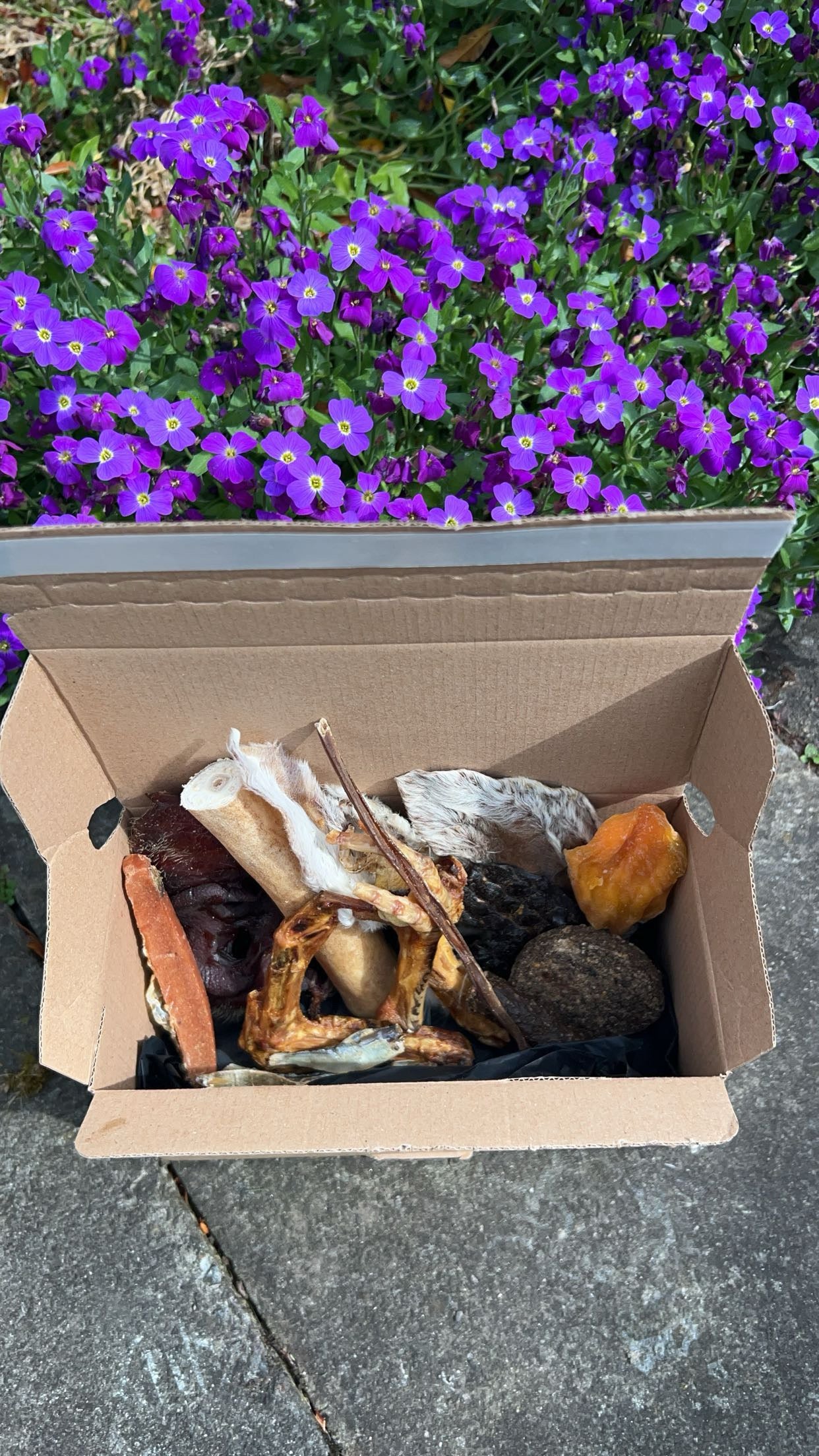 Medium Treat box