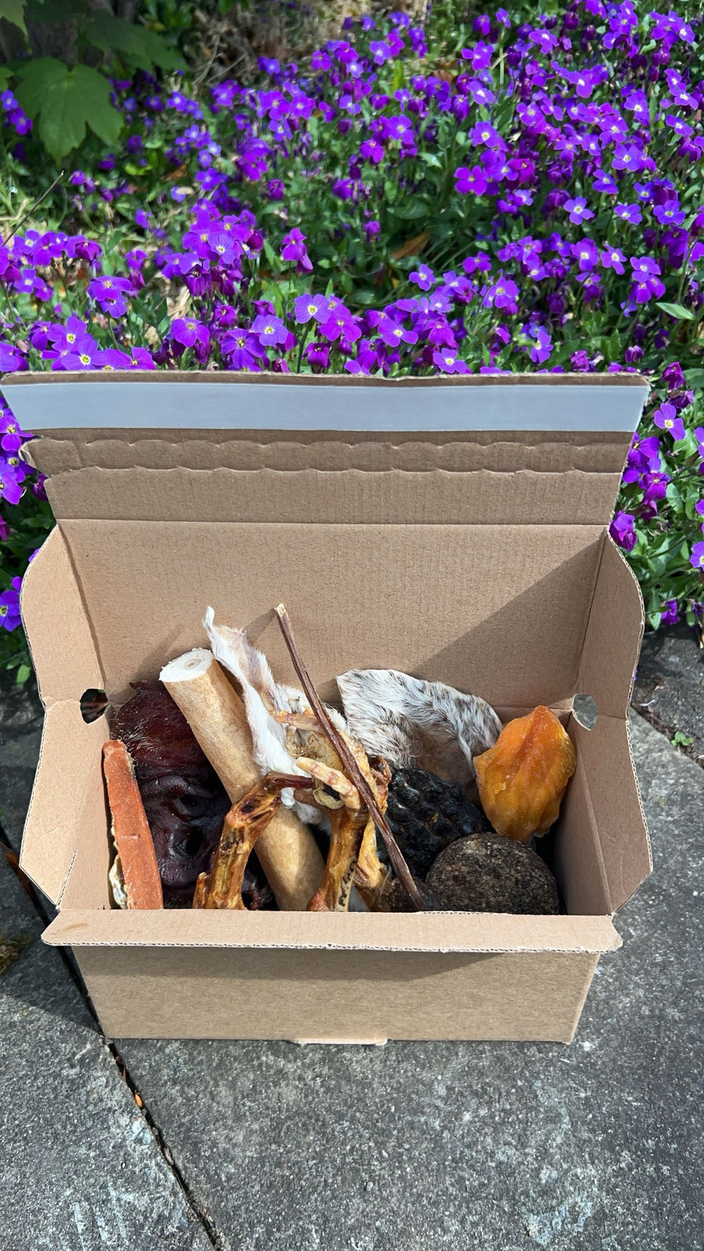 Medium Treat box
