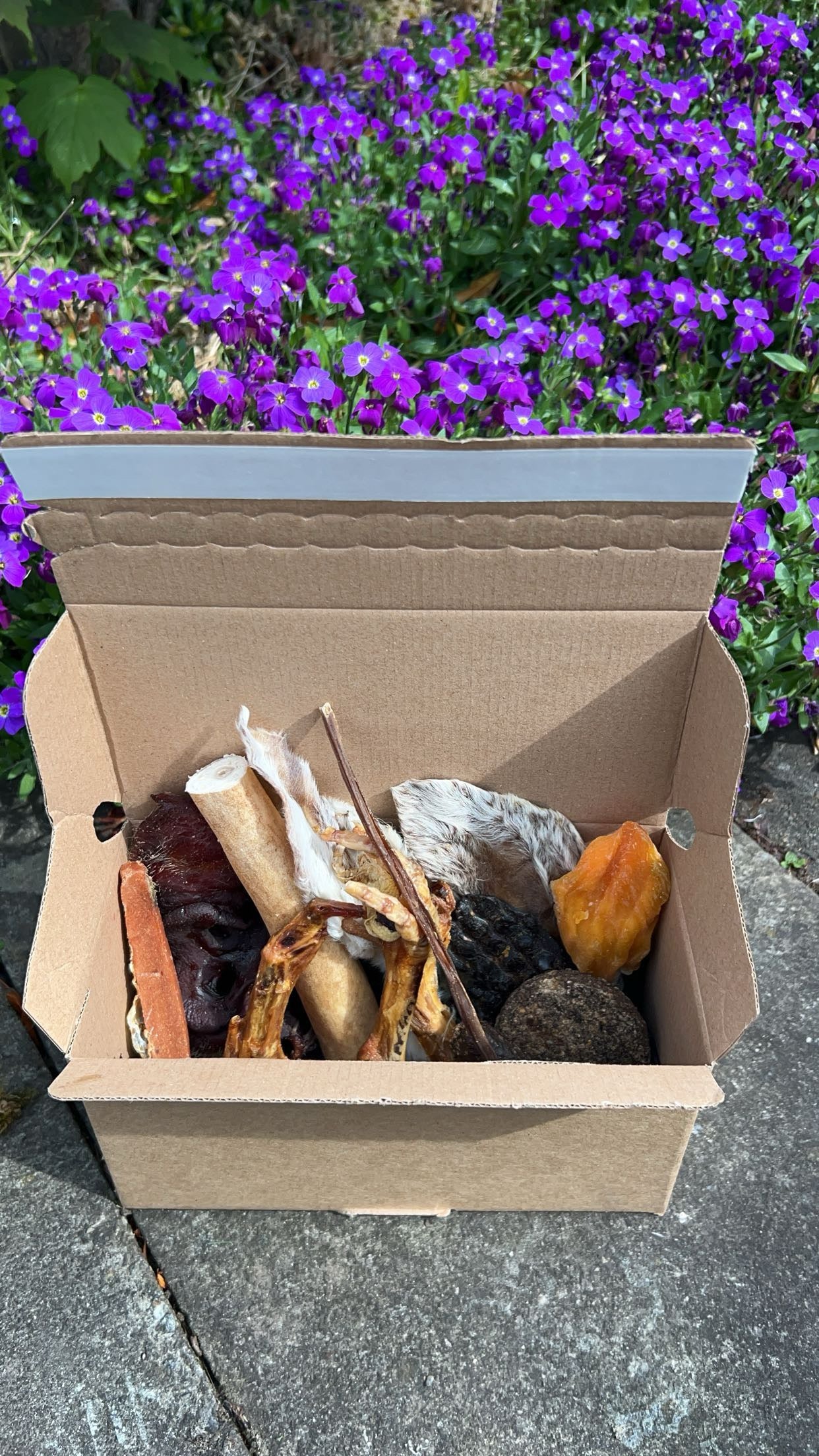 Medium Treat box