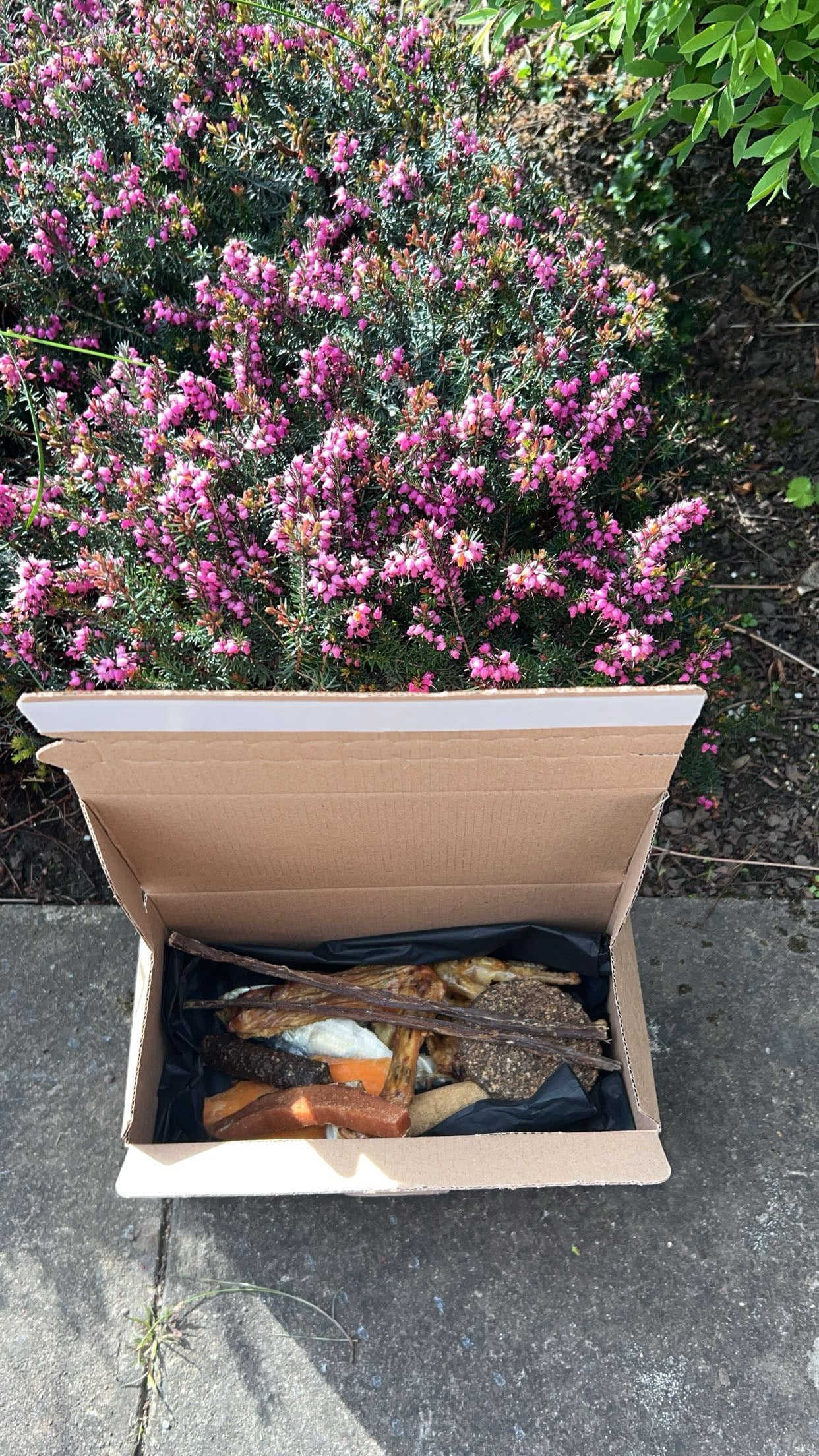 Small treat box
